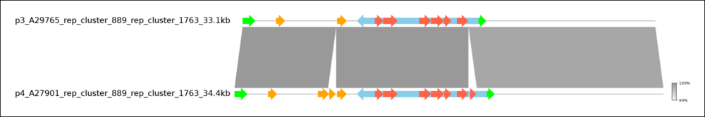 ONT-VRE pyGenomeViz.png
